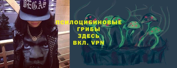 PSILOCYBIN Инсар