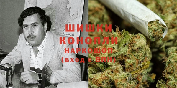 PSILOCYBIN Инсар
