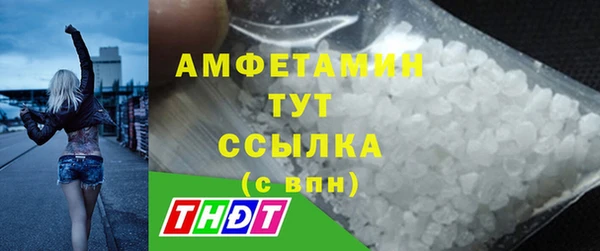 PSILOCYBIN Инсар