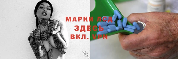 PSILOCYBIN Инсар