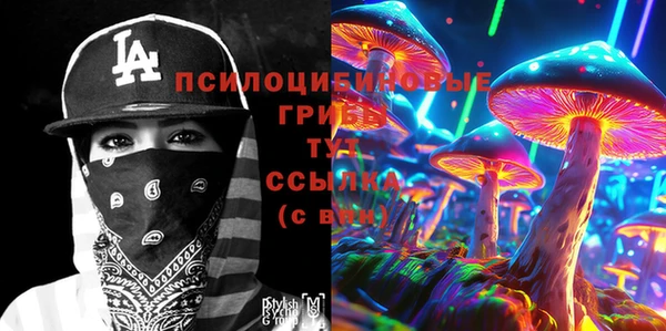 PSILOCYBIN Инсар