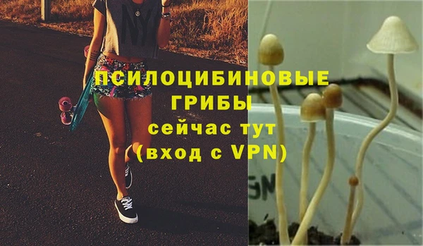 PSILOCYBIN Инсар