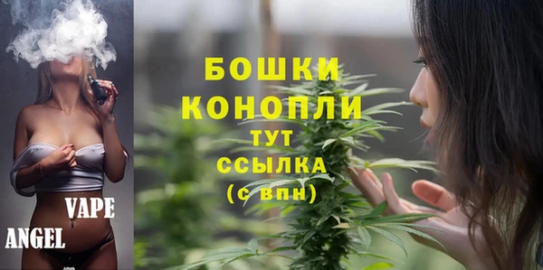 PSILOCYBIN Инсар