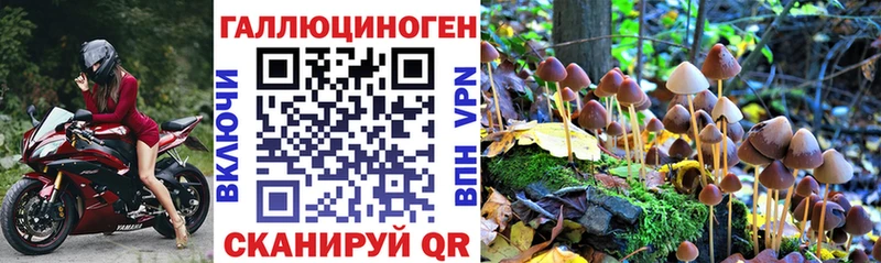 Галлюциногенные грибы мухоморы  Купить  Анапа 
